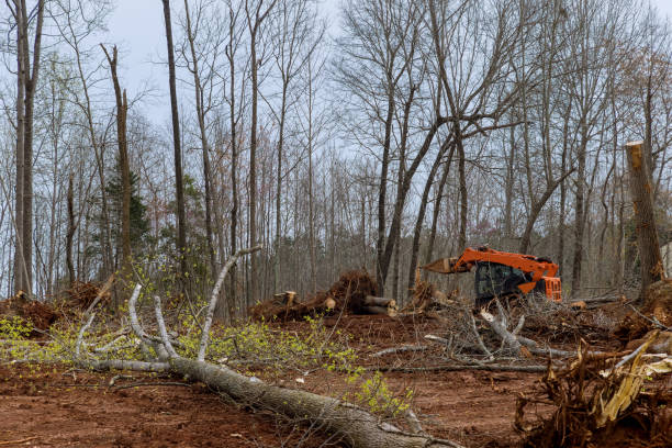 Soil Testing and Treatment in Cornwall On Hudson, NY